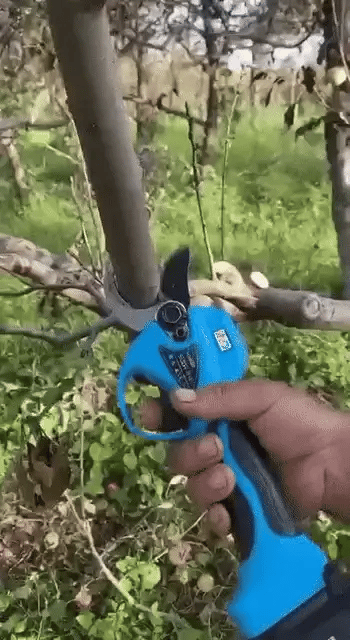 Power Blade 20V