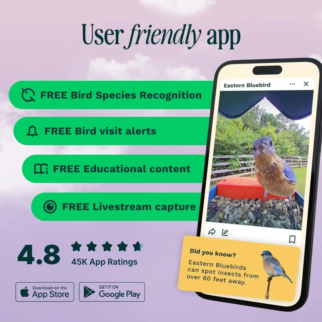 Bird Scope